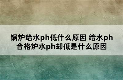 锅炉给水ph低什么原因 给水ph合格炉水ph却低是什么原因